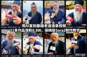 用AI复刻暴躁老道语录视频,21条作品涨粉8.8W,保姆级Sora2制作教学-众赢项目网